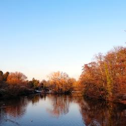 Beckenham 3 casas de hóspedes