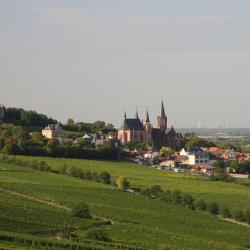 Oppenheim 11 cheap hotels