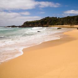 Ettalong Beach 3 apartments