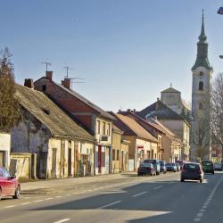 Virovitica Kuće za odmor i apartmani (12)