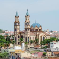 Passos 31 hotels