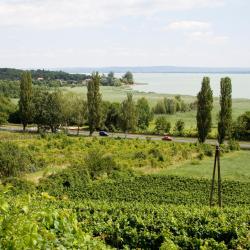 Vonyarcvashegy 43 lake house rentals