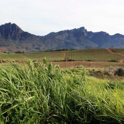 Tulbagh 8 farm stays