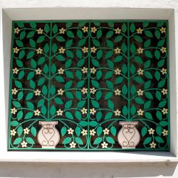 Drousha 11 villas