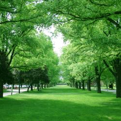 Neosho 4 hotely