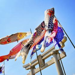 Mihara 27 hotels