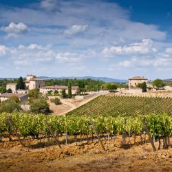 Gambassi Terme 71 vacation rentals