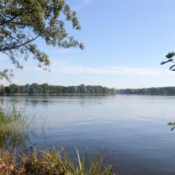 Neuruppin 5 boats