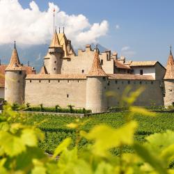Aigle 4 holiday rentals