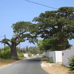Niaga