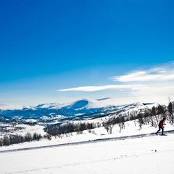 Oppdal 4 campsites