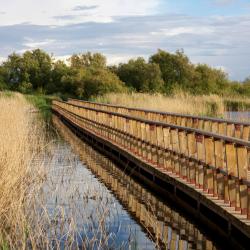 Daimiel 22 acomoda&ccedil;&otilde;es