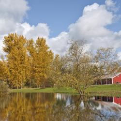 Puyallup 3 motels