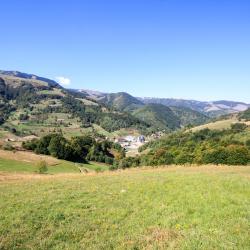 Brzeće 48 holiday rentals