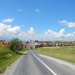 Wierzbów 19 hoteli