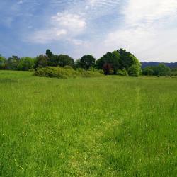 Amorebieta-Etxano 7 accommodations