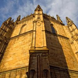 Plasencia 55 apartments