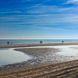 Castricum 7 beach rentals