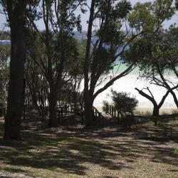 Hyams Beach 22 pet-friendly hotels