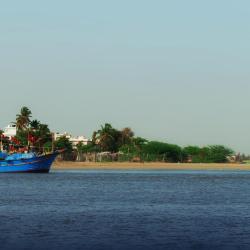 Daman 56 hotels