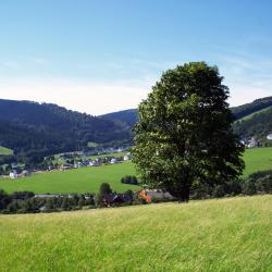 Sundern 3 holiday parks