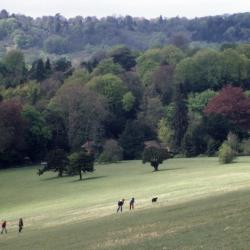 Dorking 19 hotels with parking