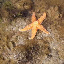 R&eacute;ville 9 pet-friendly hotels