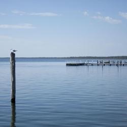 Long Jetty 21 of the villas
