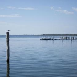 Long Jetty 3 homestays