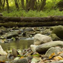 Fanano 20 alojamientos con cocina