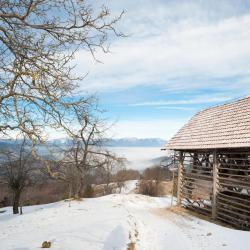 Smarjeske Toplice 8 cottages