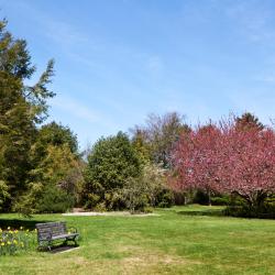 Stony Brook 6 alojamentos