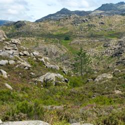 Unhais da Serra 4 villas
