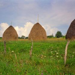 Negreni 4 hotels with parking