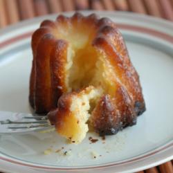 Castillon-la-Bataille 5 villas