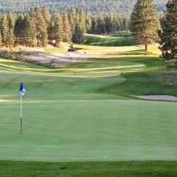 Cranbrook 15 hotels