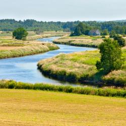 Middleton 5 hotel na may parking