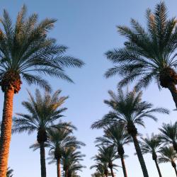 Hialeah Gardens 8 hotels