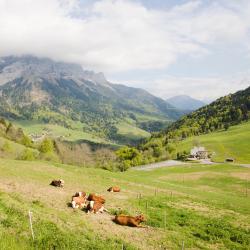 Vétraz-Monthoux 6 family hotels