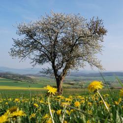 M&uuml;nnerstadt 3 acomoda&ccedil;&otilde;es com cozinha