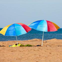 Cap-Pele 4 hot&eacute;is que aceitam pets