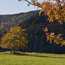 Beroun 14 of the holiday rentals