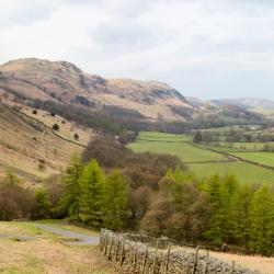 Eskdale 5 bed and breakfasts