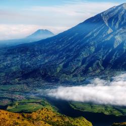 Salatiga 4 B&Bs