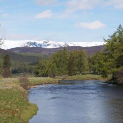 Banchory 3 cabins