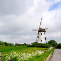 Damme 33 holiday rentals