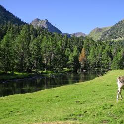 Prades 14 hoteles