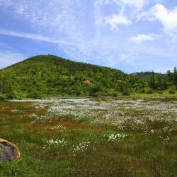 Kusatsu 11 hotels with parking
