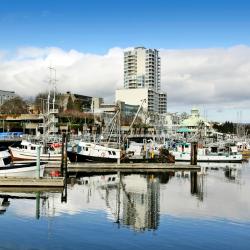 Nanaimo 12 homestays