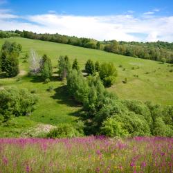 Michalovce 13 holiday rentals